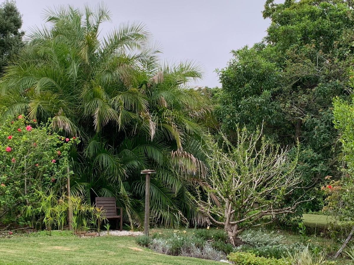 Garden Cottage In Ambiente Guest House Knysna Exteriér fotografie
